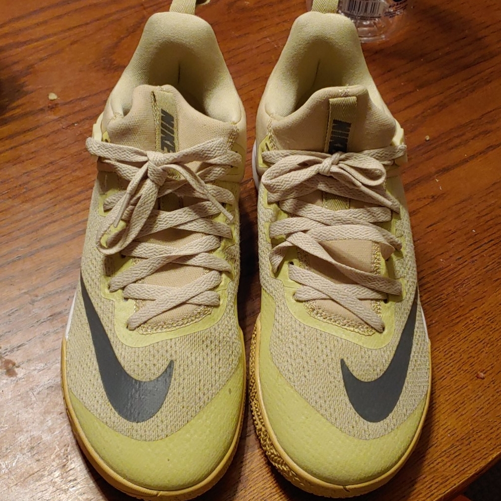 Men's Nike Zoom Shift size 8
